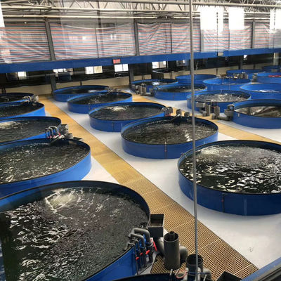 1000L-50000L Capacity Low Noise Rotary Drum Filter for RAS System Fish Farming Equipment