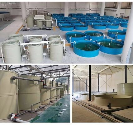 30m3/h Handling Capacity TPPS Protein Skimmer The Key to Optimal Water in Aquaculture