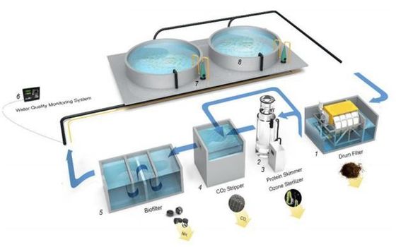 TPAF01 Automatic Fish Feeder for Aquaculture in Recirculating Pool Water System