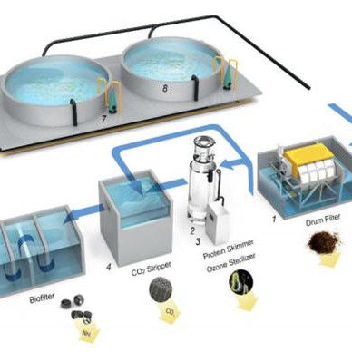 1000L-50000L Capacity Low Noise Rotary Drum Filter for RAS System Fish Farming Equipment